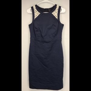 Ann Taylor Dress